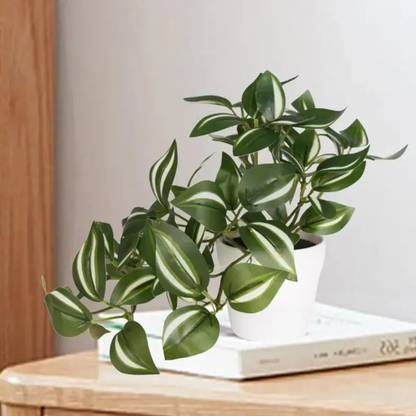 Decorcraft Artificial Plant  with Pot