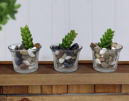 TIED RIBBONS Faux Succulent Artificial Plant  with Pot