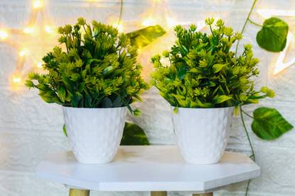 Sanol Artificial green money plant for office table home decor Wild Artificial Plant  with Pot