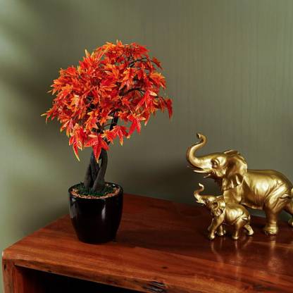 The Artment Maple Bonsai Artificial Plant with Pot Set of 1 Artificial Plant  with Pot