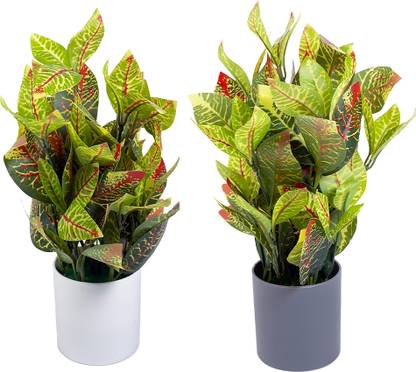 Parisha Décor Artificial plants with pot Home decoration items - Set of 2 Bonsai Wild Artificial Plant  with Pot