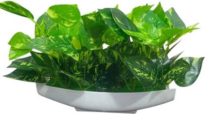 DNEnterprises Artificial Plant with Pot