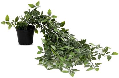 Paperi Hanging Plant - green pack of 1 Bonsai Artificial Plant  with Pot