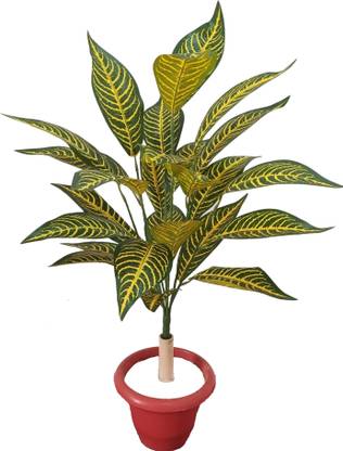 BAARIG Beautiful Big Croton Alocasia Plant tree with 26 Long Leaves Without Pot Artificial Plant