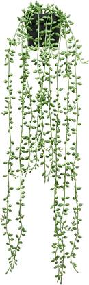 HomeXO Artificial Greenery Charm,Ceramic Pot with String of Pearls Hanging Plant Wild Artificial Plant  with Pot