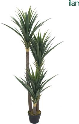 ILAN INDIA | Artificial Yucca Plant | 5 ft | PE Leaves | Without Pot | Artificial Plant