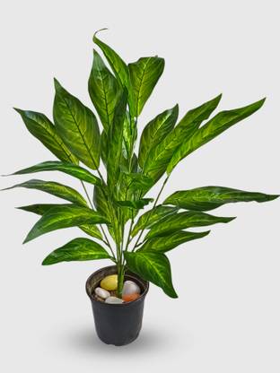VIVARS CRAFT Artificial Dieffenbachia Amoena Plant 26 Leaves (Without Pot, Green) Wild Artificial Plant