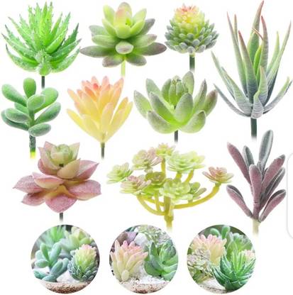 Loyal's Wild Artificial Plant