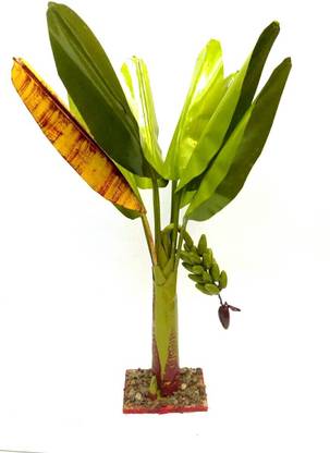 simonart and printing Bonsai Artificial Plant