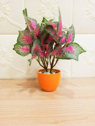Style My Home Real Looking Artificial Color Leaf Plant with Pot for Indoor Tabletop Decoration Wild Artificial Plant  with Pot
