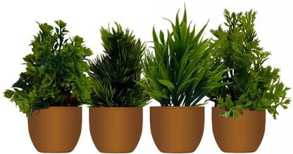 Ryme Set Of 4 Bonsai Wild Artificial Plant  with Pot