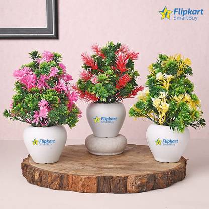 Flipkart SmartBuy Bonsai Wild Artificial Plant  with Pot