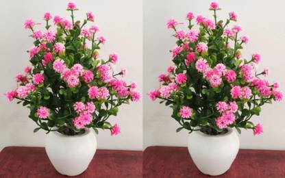 zonezer Set of 2 Table flower top Bonsai for home shop office gifting Bonsai Wild Artificial Plant  with Pot