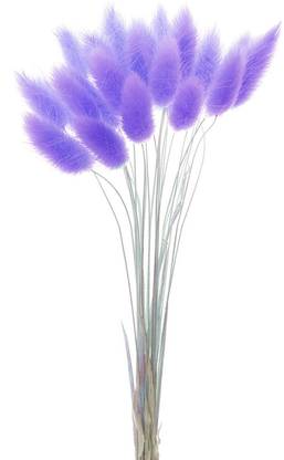 BNF Natural Dried Flowers Bouquets Rabbit Tail Grass DIY Stems Decor purple Bonsai Artificial Plant