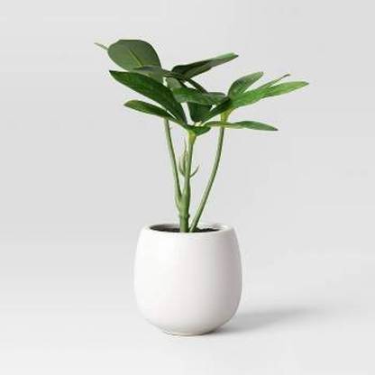 ADERA Artificial Plant  with Pot