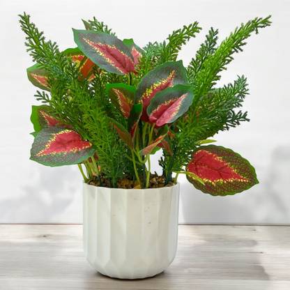 SKYGREEN Artificial Plants With Pot | Small Plants With Pot | Home Decor & Office Decor | Wild Artificial Plant  with Pot
