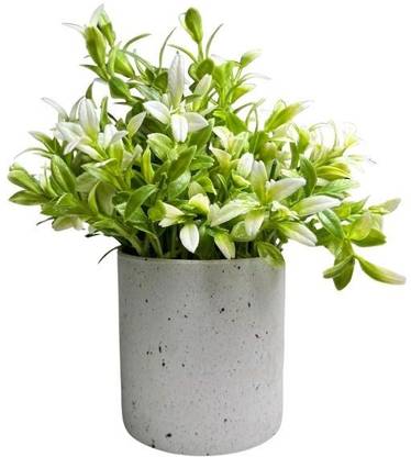 De Gardenia De Gardenia Artificial Tabletop Plant with Pot – Green Leaf Décor Bonsai Artificial Plant  with Pot