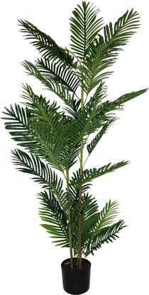 Flipkart SmartBuy Pygmy Artificial Palm Tree - Artificial Plants for Home Decor Big Size-5Feet Artificial Plant  with Pot