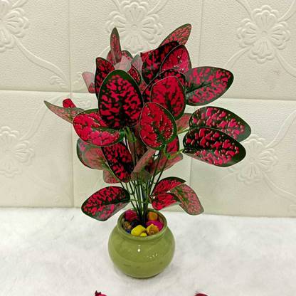 Style My Home Red Croton Plants 2 Sticks with Pot | Indoor Plant for Home Decor, Office Decor Artificial Plant  with Pot