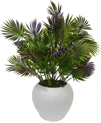 fancymart Artificial Prong Banana Leaf in pot Wild Artificial Plant  with Pot