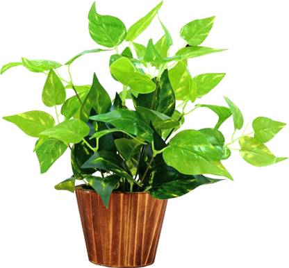 fancymart home décor money plant (26 cm) realistic design in wood round Bonsai Artificial Plant  with Pot