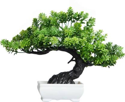 POKA Artificial Plant for Decoration Like Home, Room, Bedroom & Weddings. Bonsai Wild Artificial Plant  with Pot