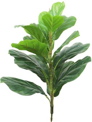ALLNAYAK Artificial Fiddle Leaf Fig Plant Without Pot for Home and Office Décor Artificial Plant
