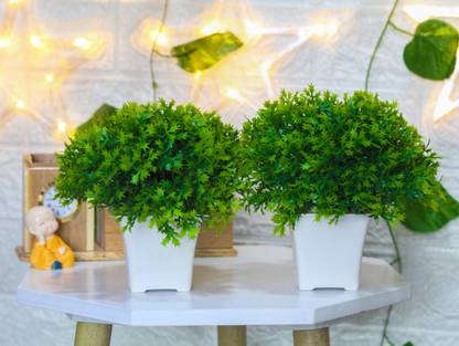 shanol Set of 2 Artificial green Plants for Home and Office Decor Artificial Plant  with Pot