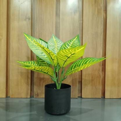 Decogreen CROTON Y, BUNCH BLACK POT Home, Office Real Touch Money P, Premium Design Bonsai Artificial Plant  with Pot