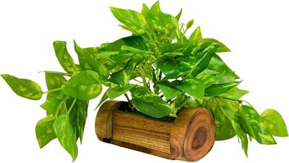 fancymart Money Plant in Woodlog Pot with Height 18 cm use as a Hanging or Tabletop Artificial Plant  with Pot