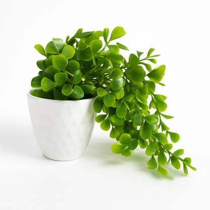 Akp Artificial Green Plant with White Pot for Home & Office Decor Bonsai Artificial Plant  with Pot
