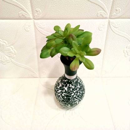 Style My Home Artificial Succulent Plant with Wooden Texture Pot for Indoor Home Decor Artificial Plant  with Pot