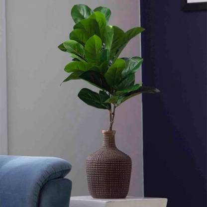 ALLNAYAK Artificial Fiddle Leaf Fig Plant Without Pot for Home and Office Décor Artificial Plant