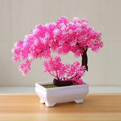Flipkart SmartBuy Bonsai Wild Artificial Plant with Pot