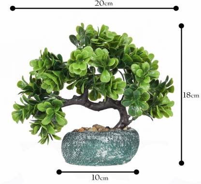 SALDI Padri Tree Plant