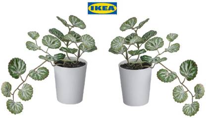 IKEA Bonsai Artificial Plant  with Pot