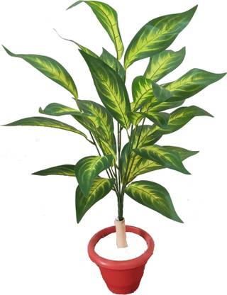 BAARIG Beautiful Big Croton Alocasia Plant tree with 26 Long Leaves Without Pot Artificial Plant