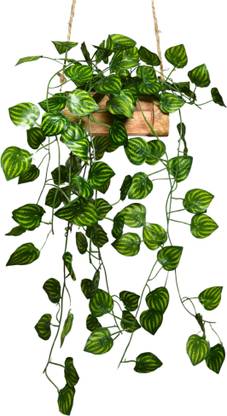 Flipkart Perfect Homes Falling Leaves Hanging in Wood Buckle Pot Wild Artificial Plant  with Pot