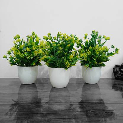 Decogreen Set of-3 MTP GREEN, Plant For Home, Office Decoration & Study Table Bonsai Artificial Plant  with Pot