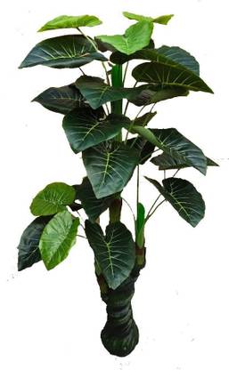 KAYKON Big Artificial Money Plant Palm Areca Green Tree For Indoor Home Decoration - 5 Feet Artificial Plant