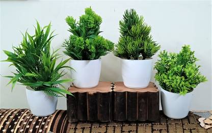 ductor Unique Decoration Combo Of 4 Different Design(H~15 Cm) Bonsai Wild Artificial Plant  with Pot