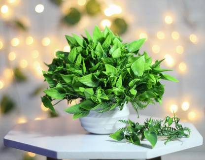 Sanol Natural Looking Home table balcony and Office Décor Wild Artificial Plant  with Pot