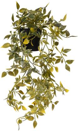 Paperi Artificial Potted Plant - Hanging Wild Artificial Plant  with Pot