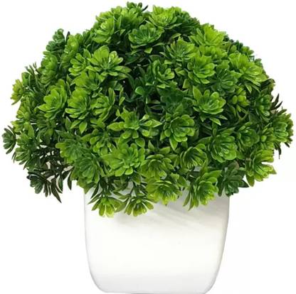CARNIVAL 1 plant with 1 pot Bonsai Artificial Plant  with Pot