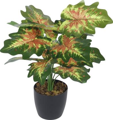 Home Bloom Artificial PVC Big Leaves Plants for Indoor & Outdoor with pot (12 Leaves, Bonsai Artificial Plant  with Pot