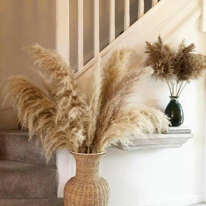 BNF Long Dried Pampas Grass Decor for Vase Fluffy bouquet Arrangement Bonsai Artificial Plant