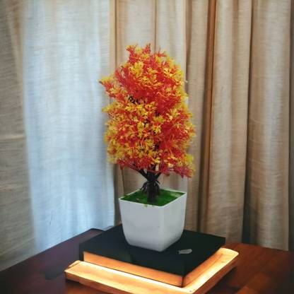 Litleo ORG Pyramid Style Great For Home , Office Decoration or birthday Gift, Bonsai Artificial Plant  with Pot