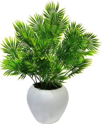 fancymart Artificial Prong Banana Leaf in pot Wild Artificial Plant  with Pot
