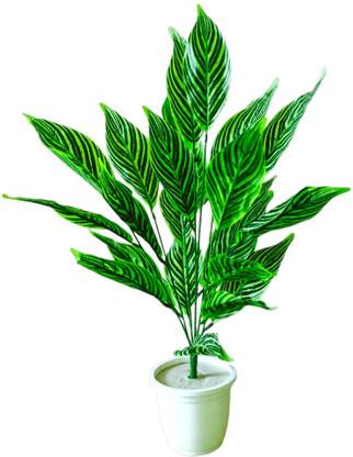 JASSI FLORA Artificial Alocasia Plant With 26 Long Leaves Without Pot Height 65cm Artificial Plant