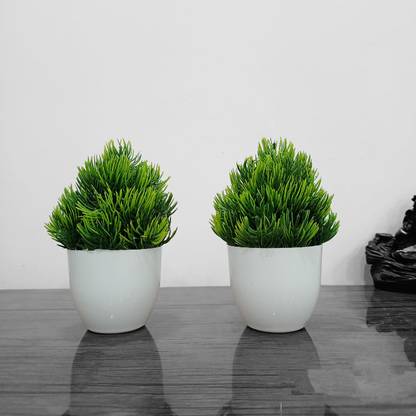 Decogreen Set of-2 KNT Green, Plant For Home, Office Decoration & Study Table Bonsai Wild Artificial Plant  with Pot